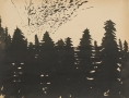 [SG31] Untitled